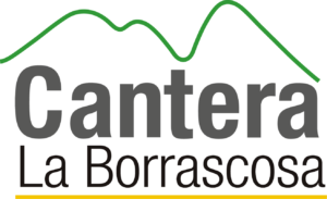 Logo La Borrascosa