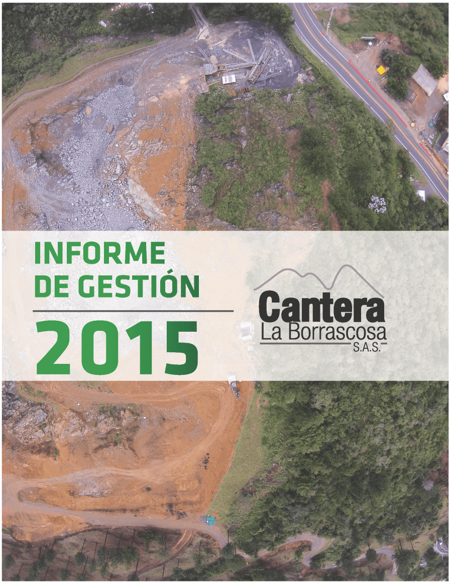 Informe-Borrascosa-2015