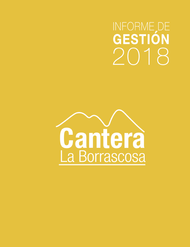 Informe-La-Borrascosa-2018