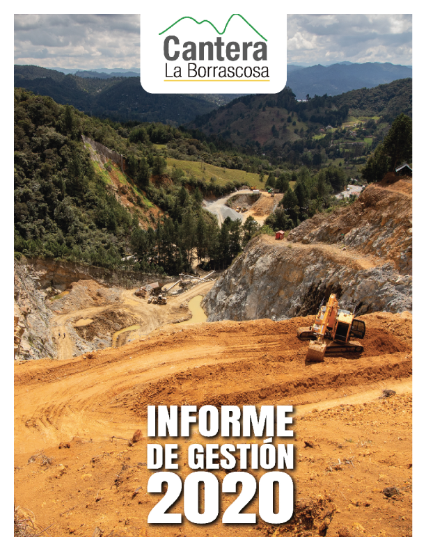 Informe-de-Gestión-Borrascosa-2020