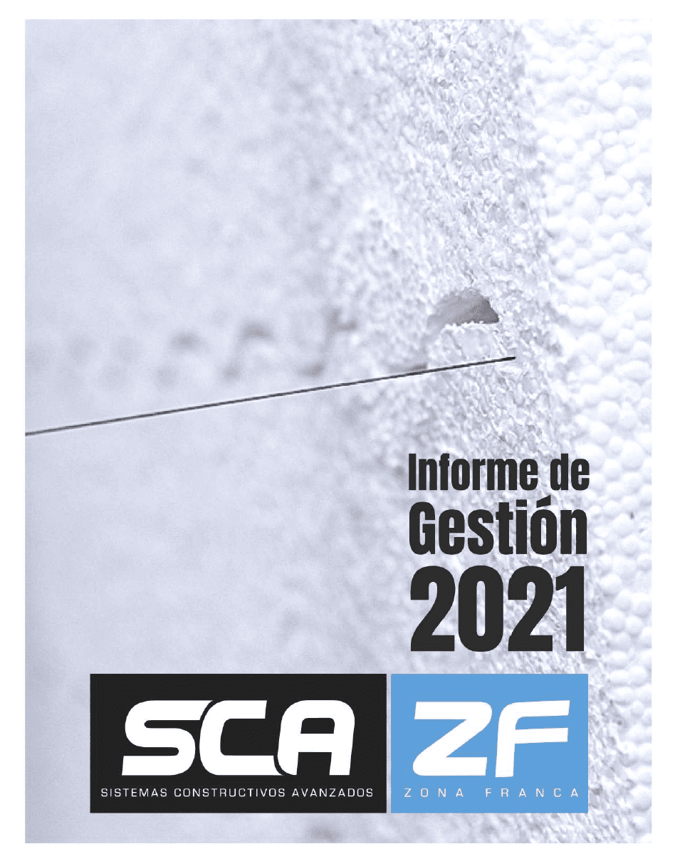 Informe SCA-ZF 2021