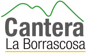 la_borrascosa_logo